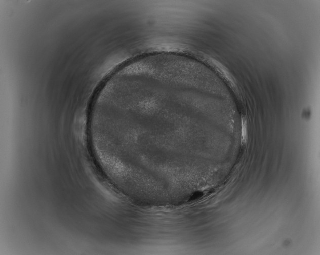 X0000099480627200805301619