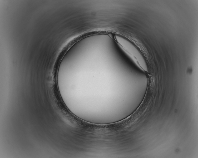 X0000099480628200805301619