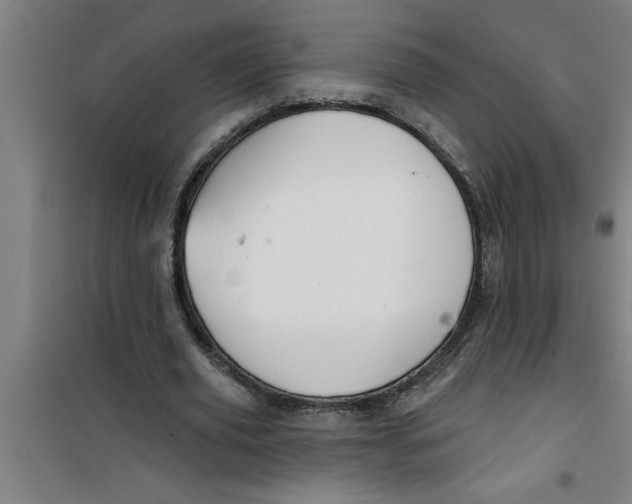 X0000099480629200805301619