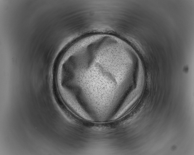 X0000099480630200805301619
