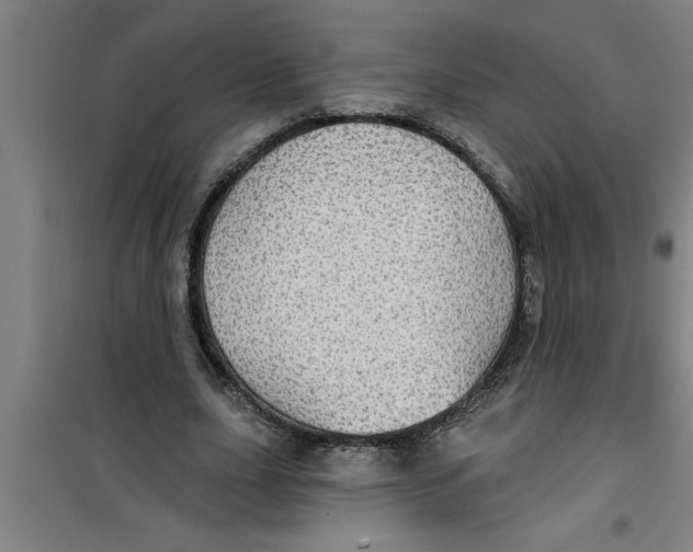 X0000099480631200805301619
