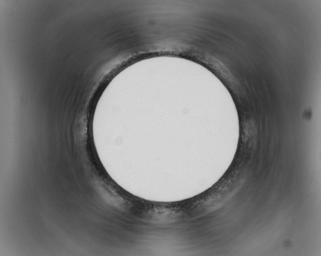 X0000099480632200805301619