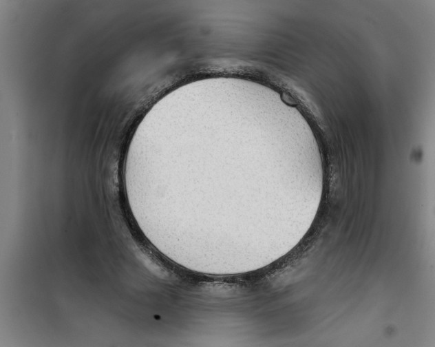 X0000099480633200805301619