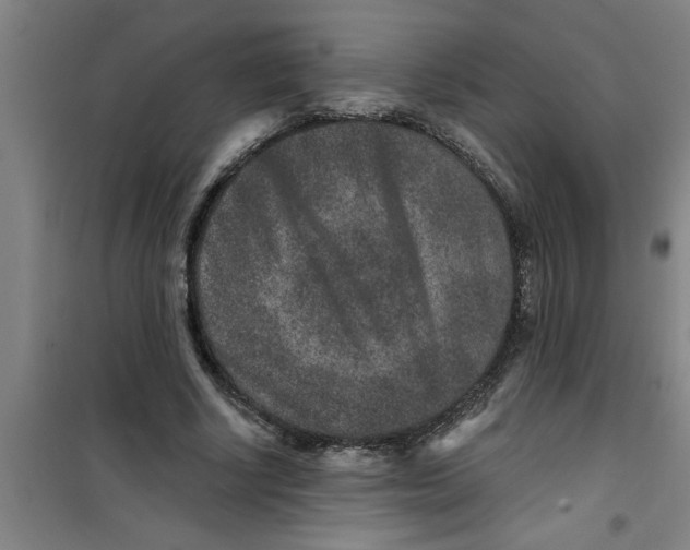 X0000099480634200805301619