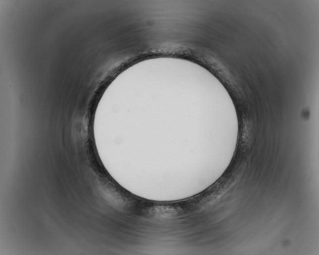 X0000099480636200805301619