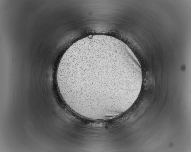 X0000099480639200805301619