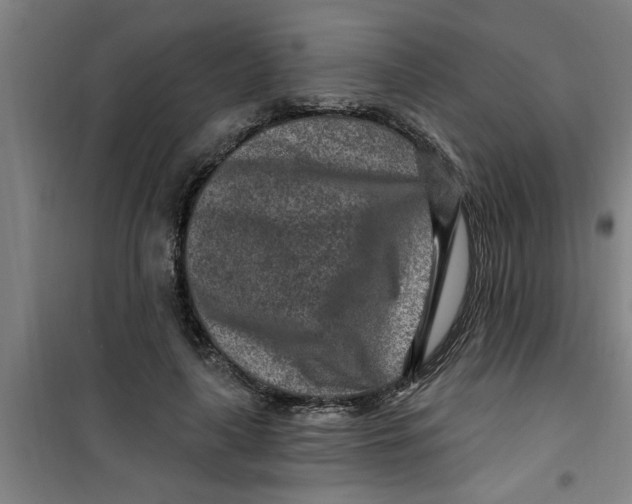 X0000099480643200805301620