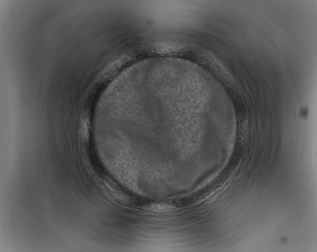 X0000099480644200805301620