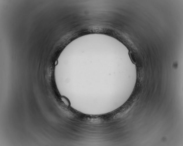 X0000099480645200805301620