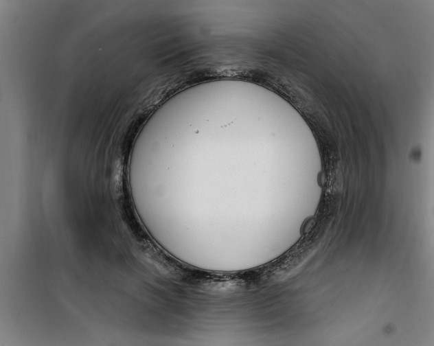 X0000099480646200805301620