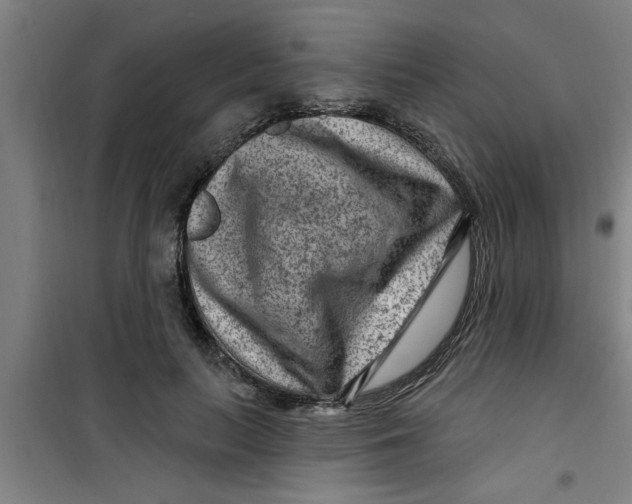 X0000099480647200805301620