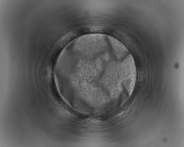 X0000099480648200805301620