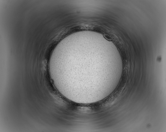 X0000099480649200805301620