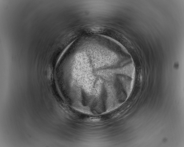 X0000099480651200805301620