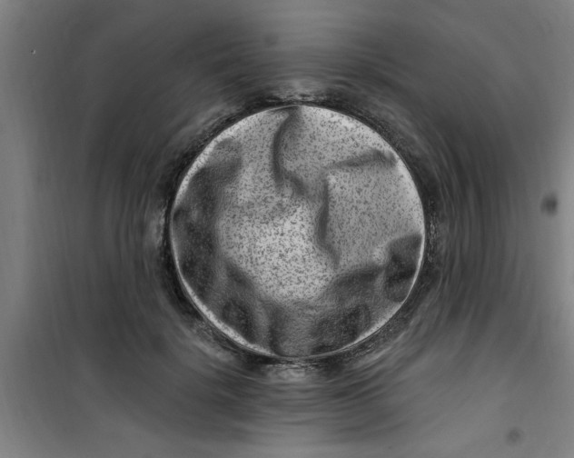X0000099480652200805301620