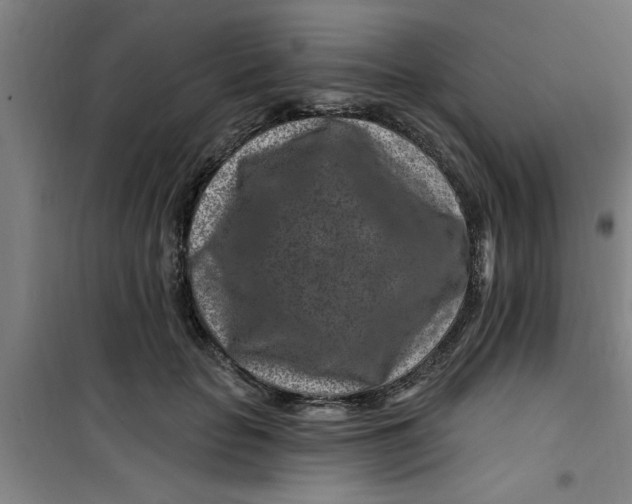 X0000099480653200805301620