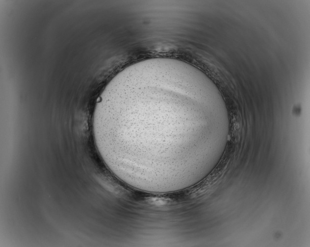 X0000099480654200805301620