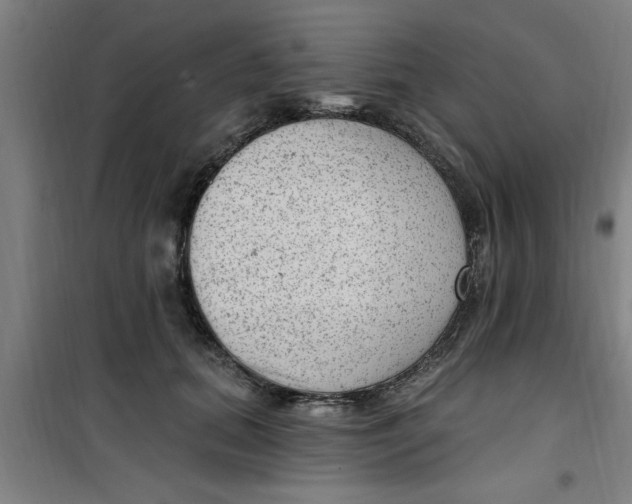 X0000099480655200805301620