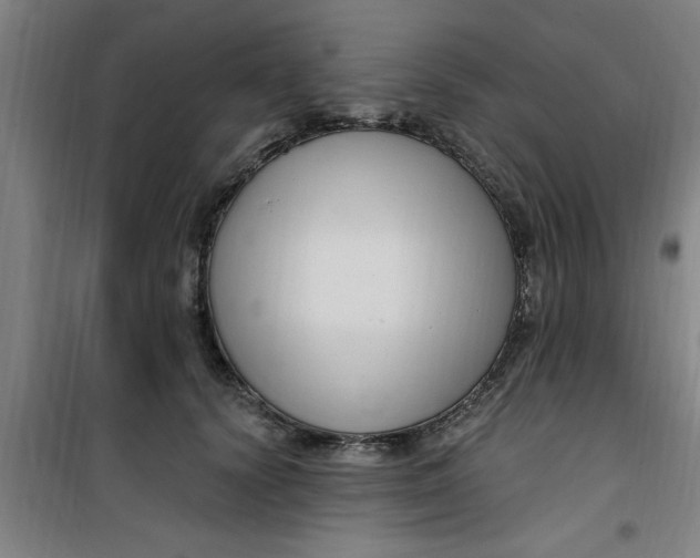 X0000099480656200805301620