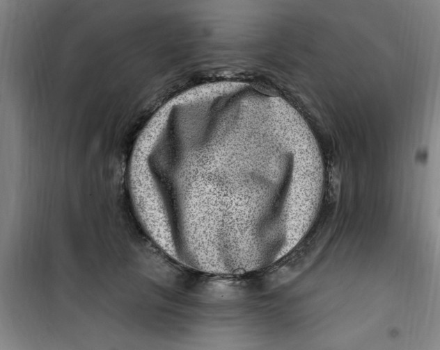 X0000099480657200805301620