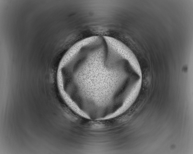 X0000099480658200805301620