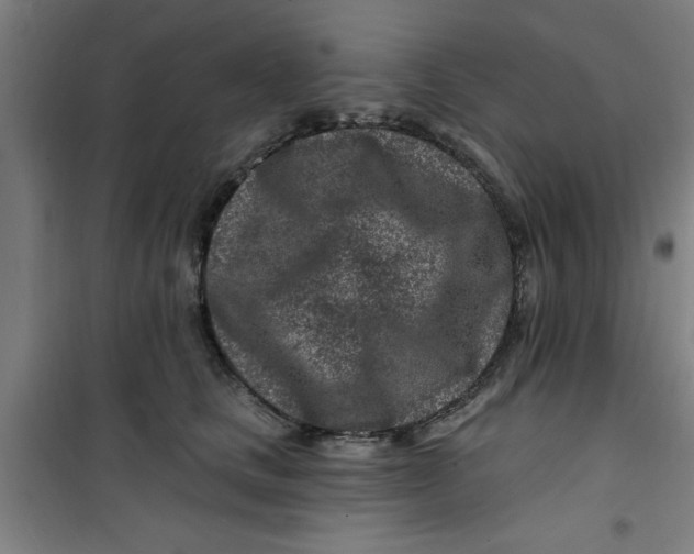 X0000099480661200805301620