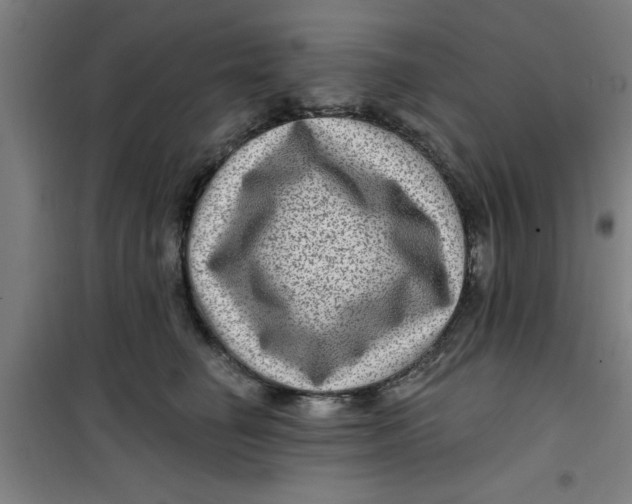 X0000099480662200805301620