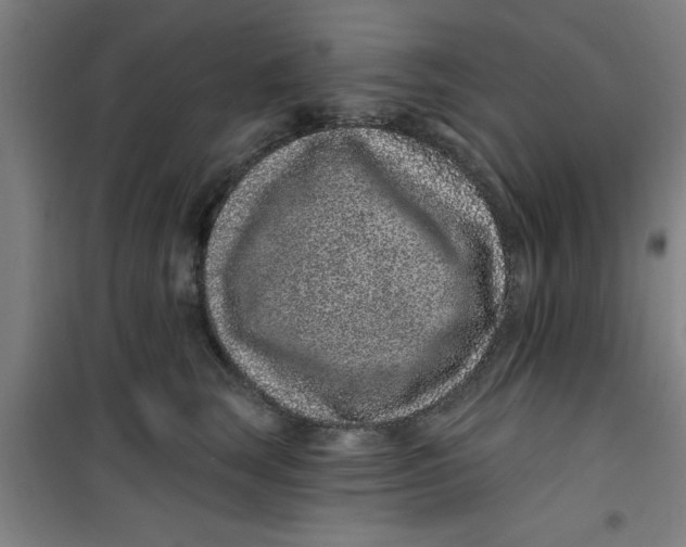X0000099480663200805301620