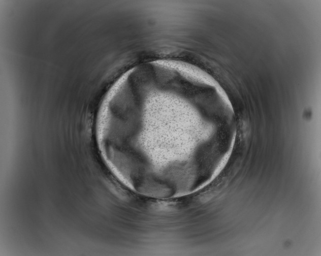 X0000099480664200805301620