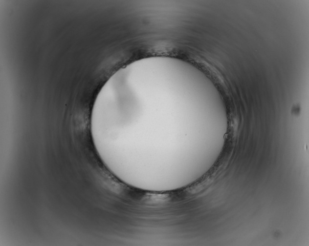 X0000099480665200805301620