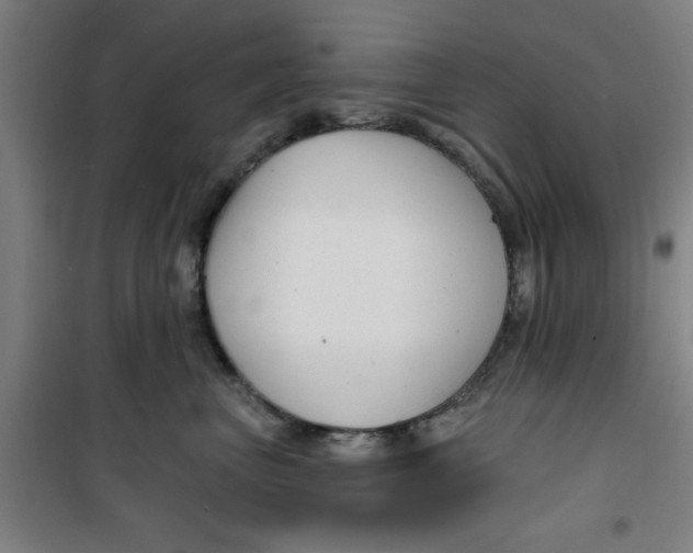 X0000099480667200805301620