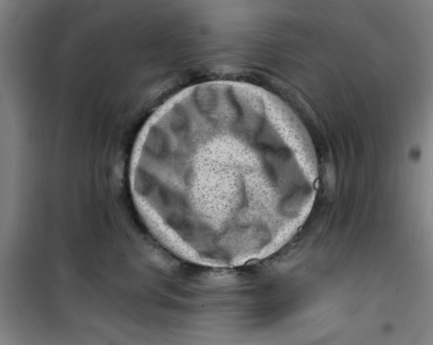X0000099480668200805301620