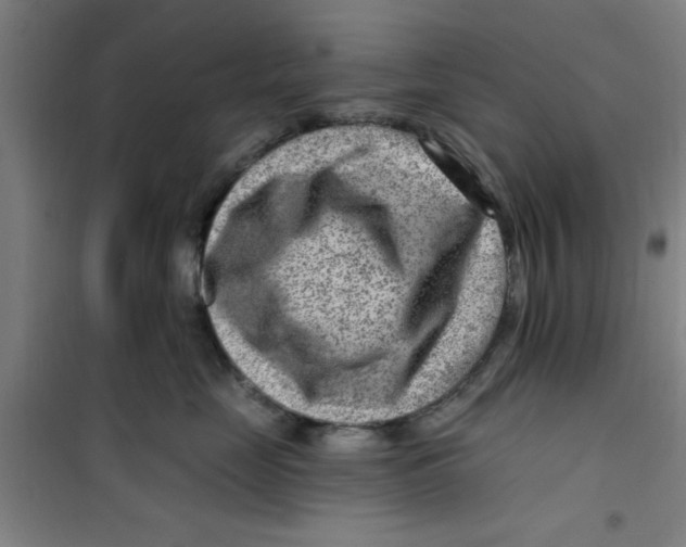 X0000099480669200805301620