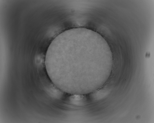X0000099480672200805301620