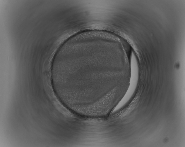 X0000099480673200805301619
