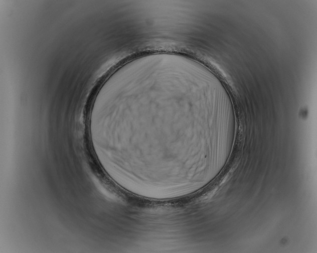 X0000099480674200805301619