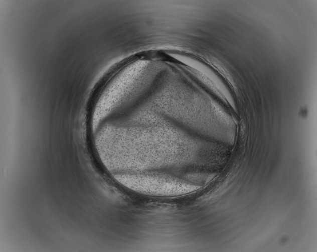 X0000099480676200805301619