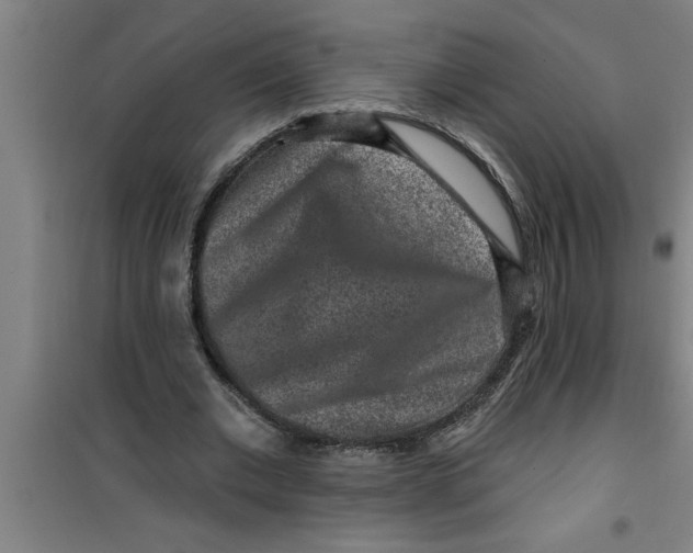 X0000099480677200805301619