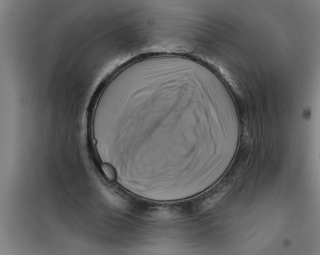 X0000099480678200805301619
