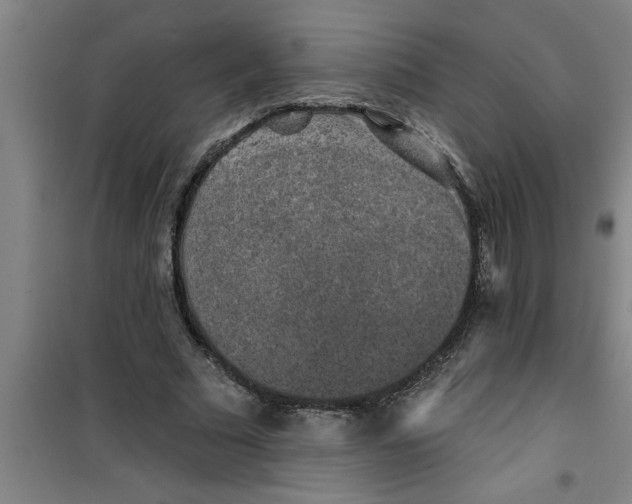 X0000099480681200805301619