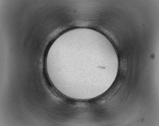 X0000099480682200805301619