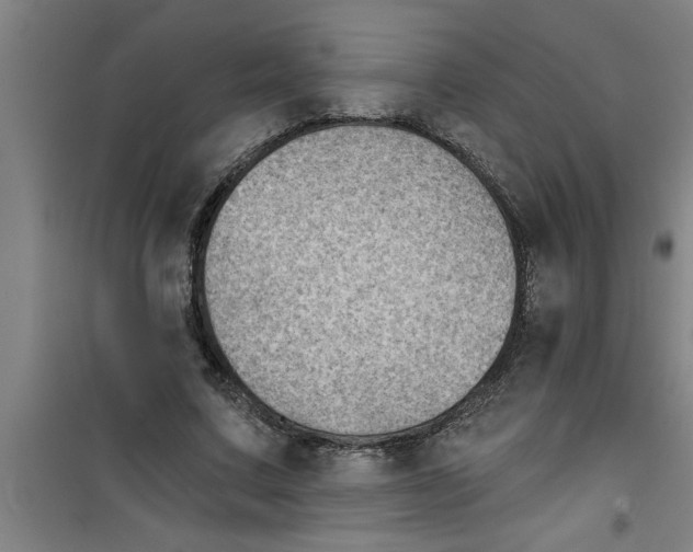 X0000099480683200805301619