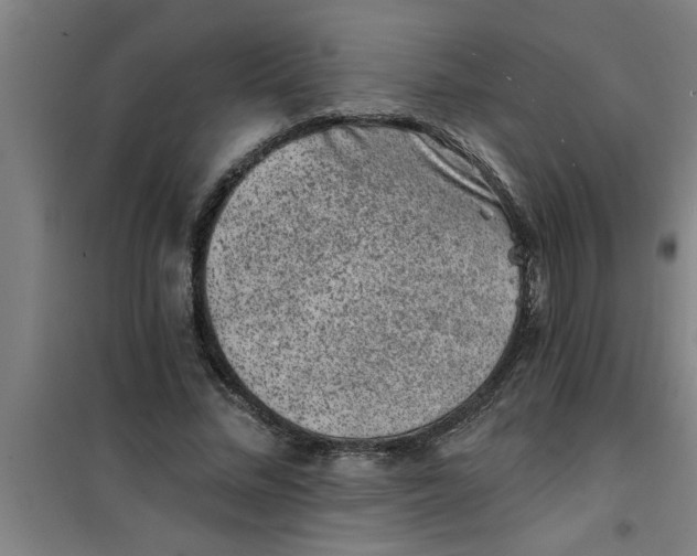 X0000099480684200805301619