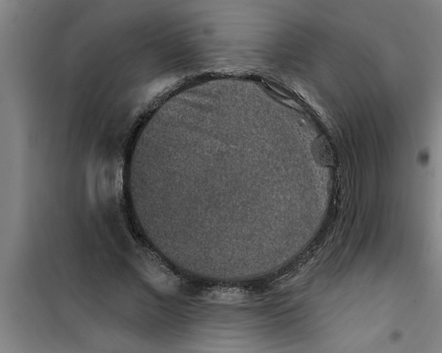 X0000099480685200805301619