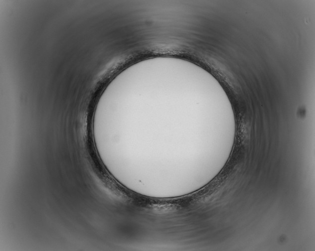 X0000099480686200805301619