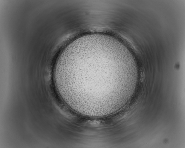 X0000099480687200805301619
