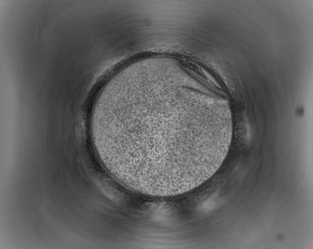 X0000099480688200805301619