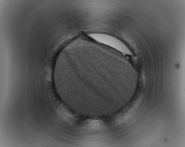 X0000099480689200805301619