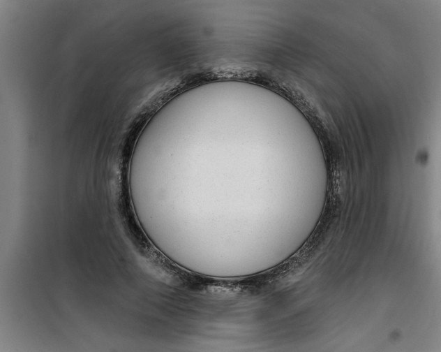 X0000099480690200805301619