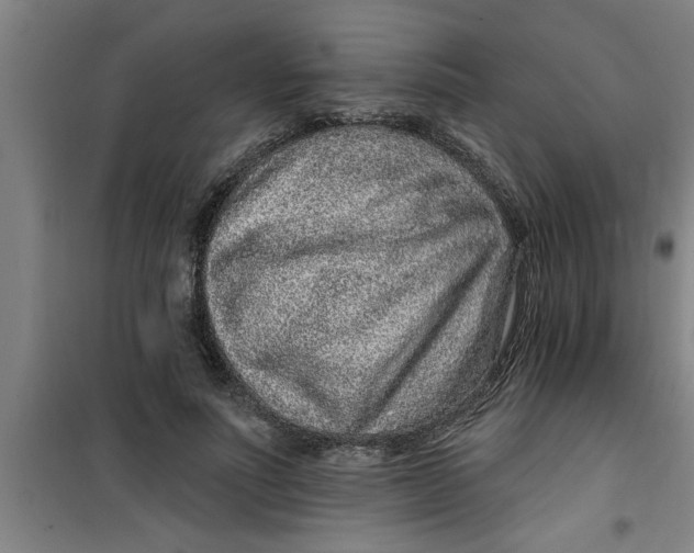 X0000099480691200805301619
